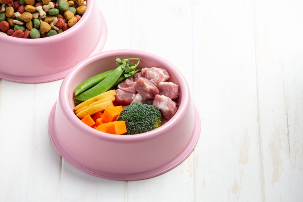 alimentation pour chat