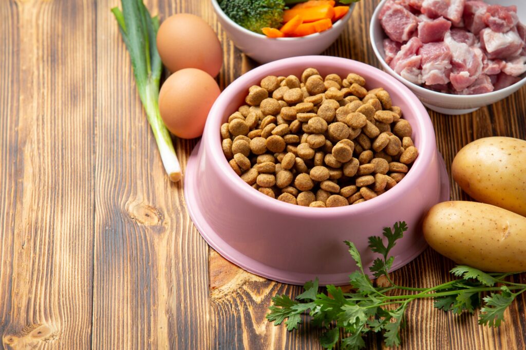 alimentation chien