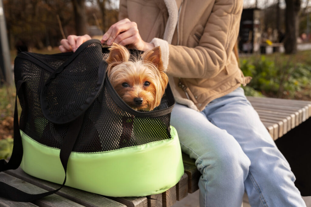 Transport pour chien sur le marché de nala