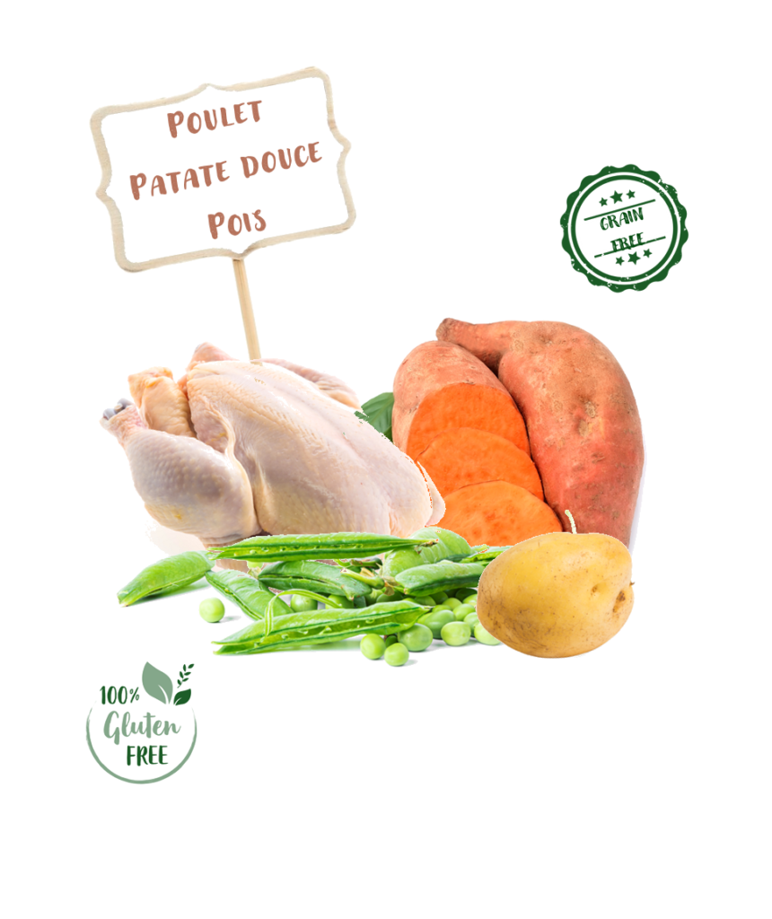 Ingrédients de la recette de croquette Nala au poulet pour chien adulte