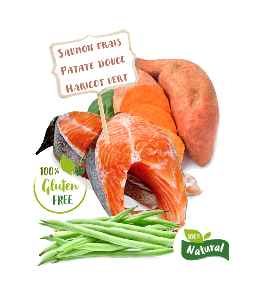 Ingrédients de la recette de croquette Nala au saumon d'écosse pour chiot