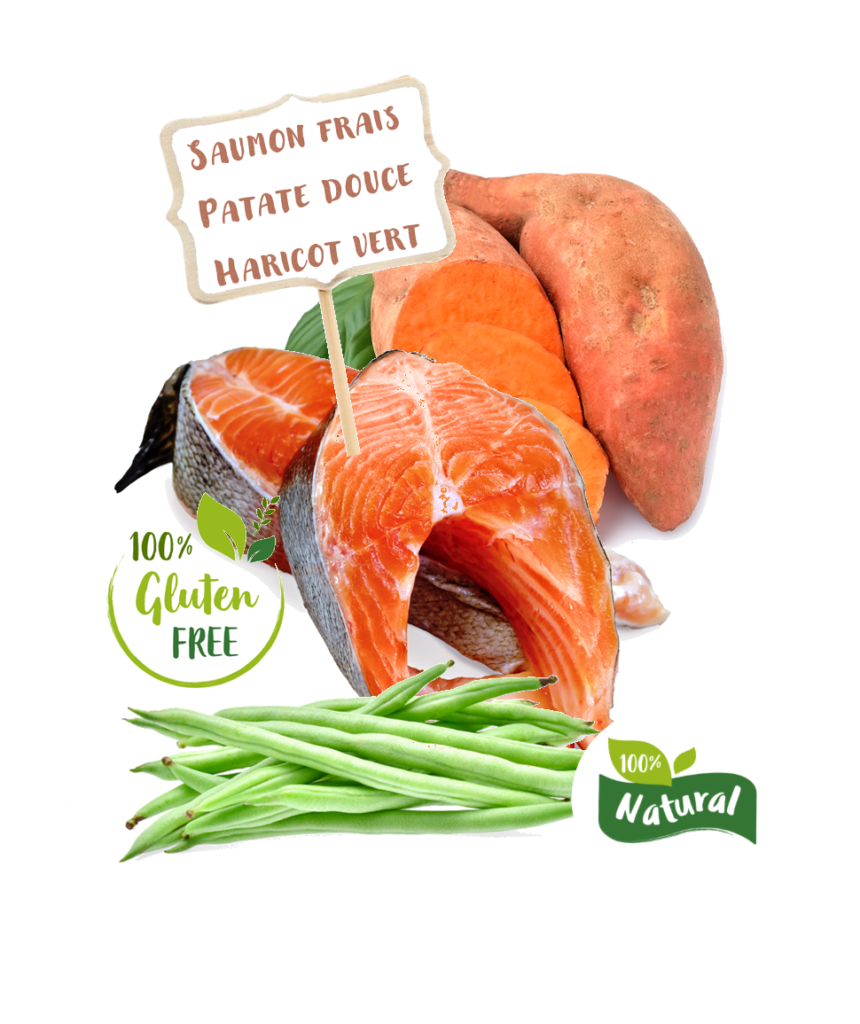 Ingrédients de la croquette Nala saumon d'écosse chien adulte senior allégée