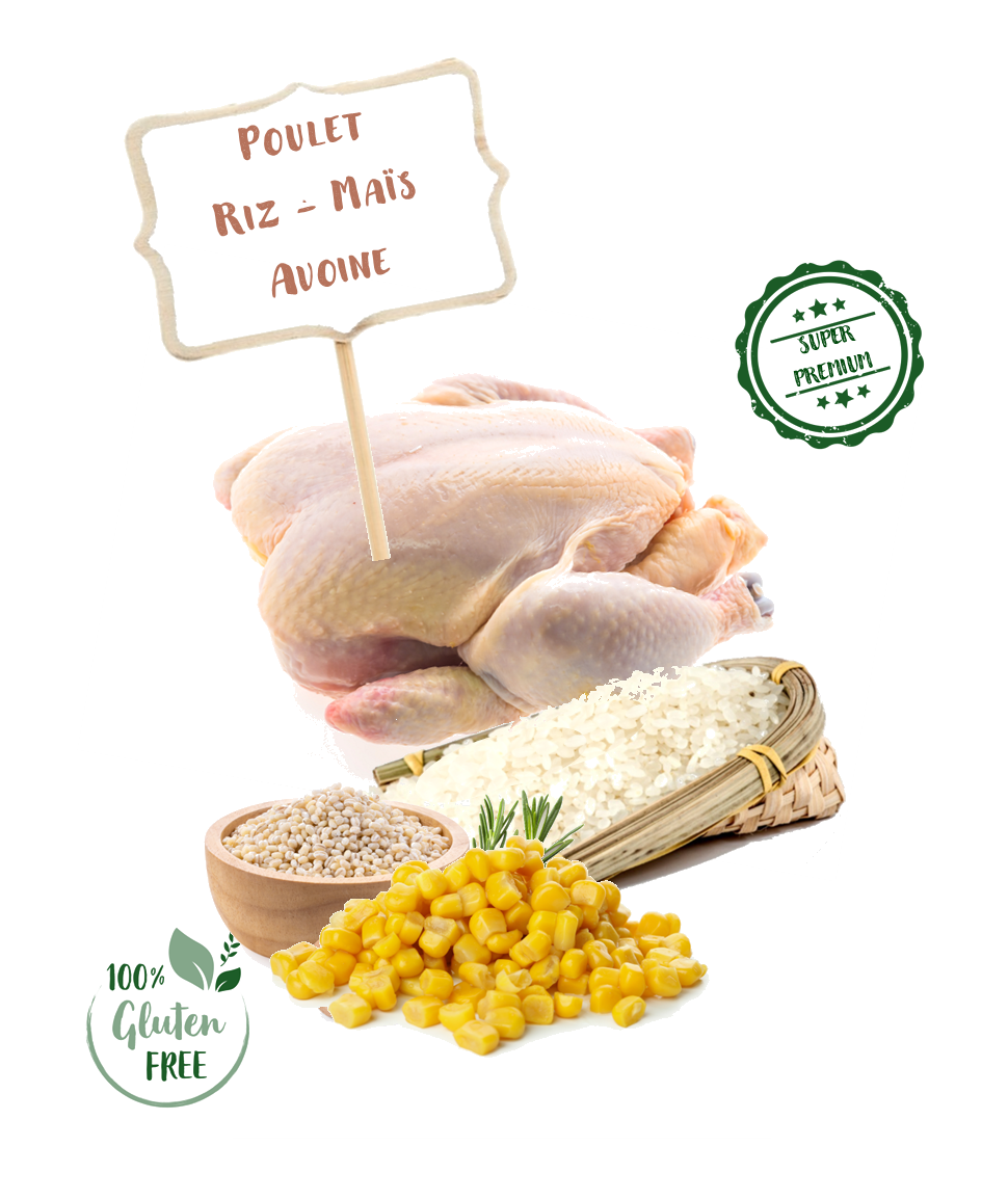 Ingrédients de la recette de croquette Nala au poulet et riz pour chiot