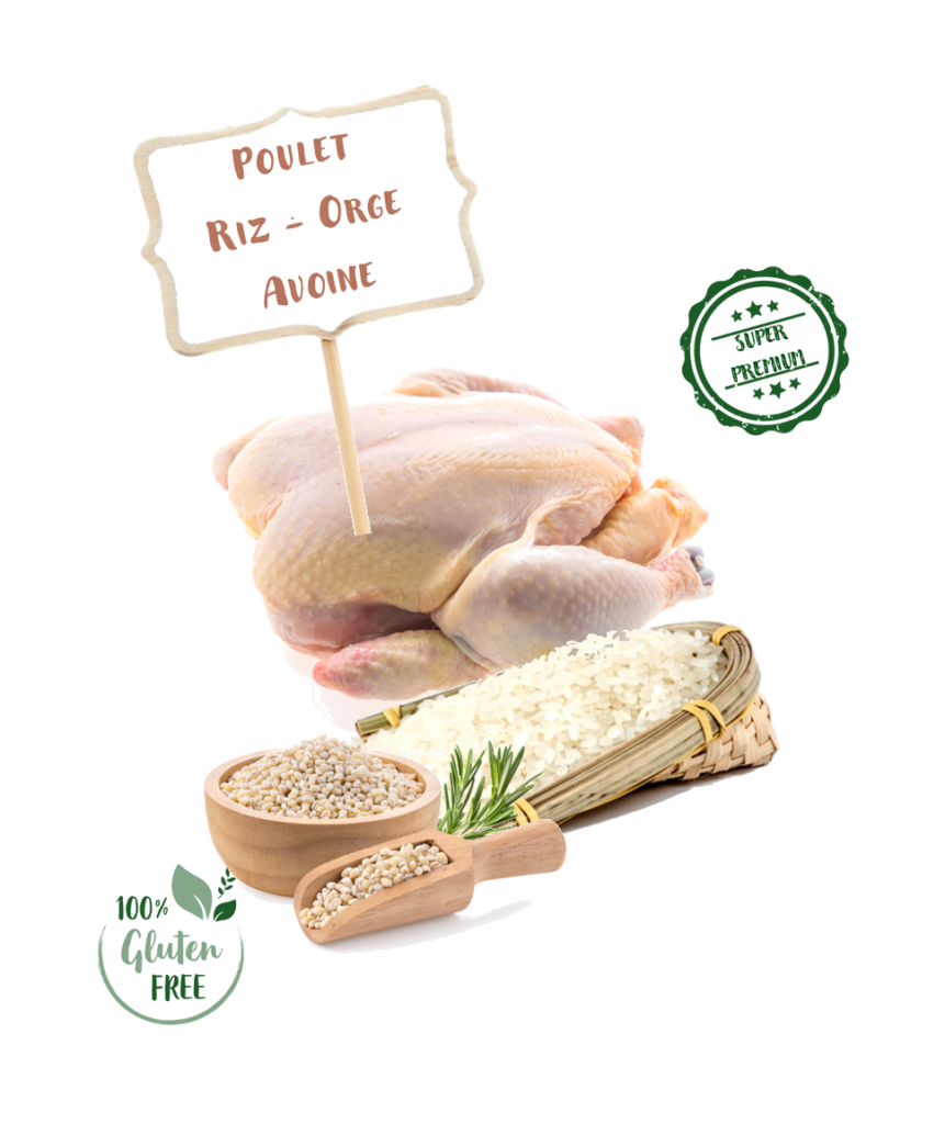 Ingrédients de la recette de croquette Nala au poulet et riz pour chien adulte de petite taille