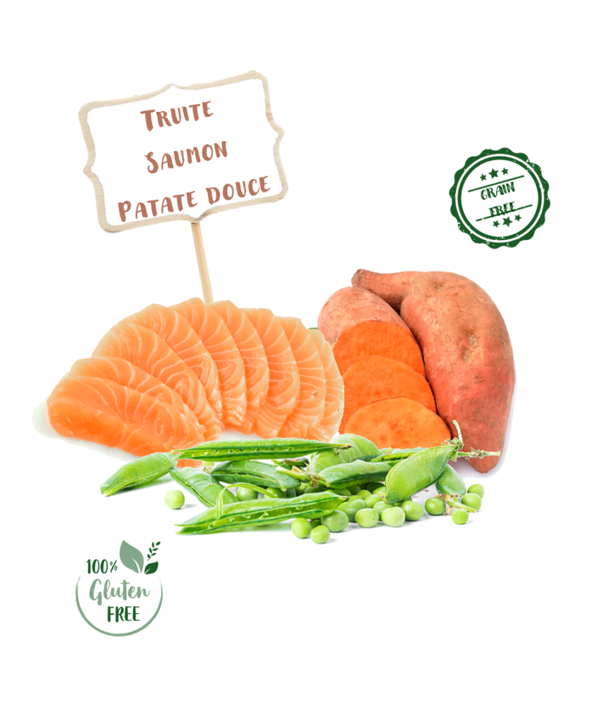 Ingrédients de la recette de croquette Nala au saumon et truite pour chien adulte de grande taille