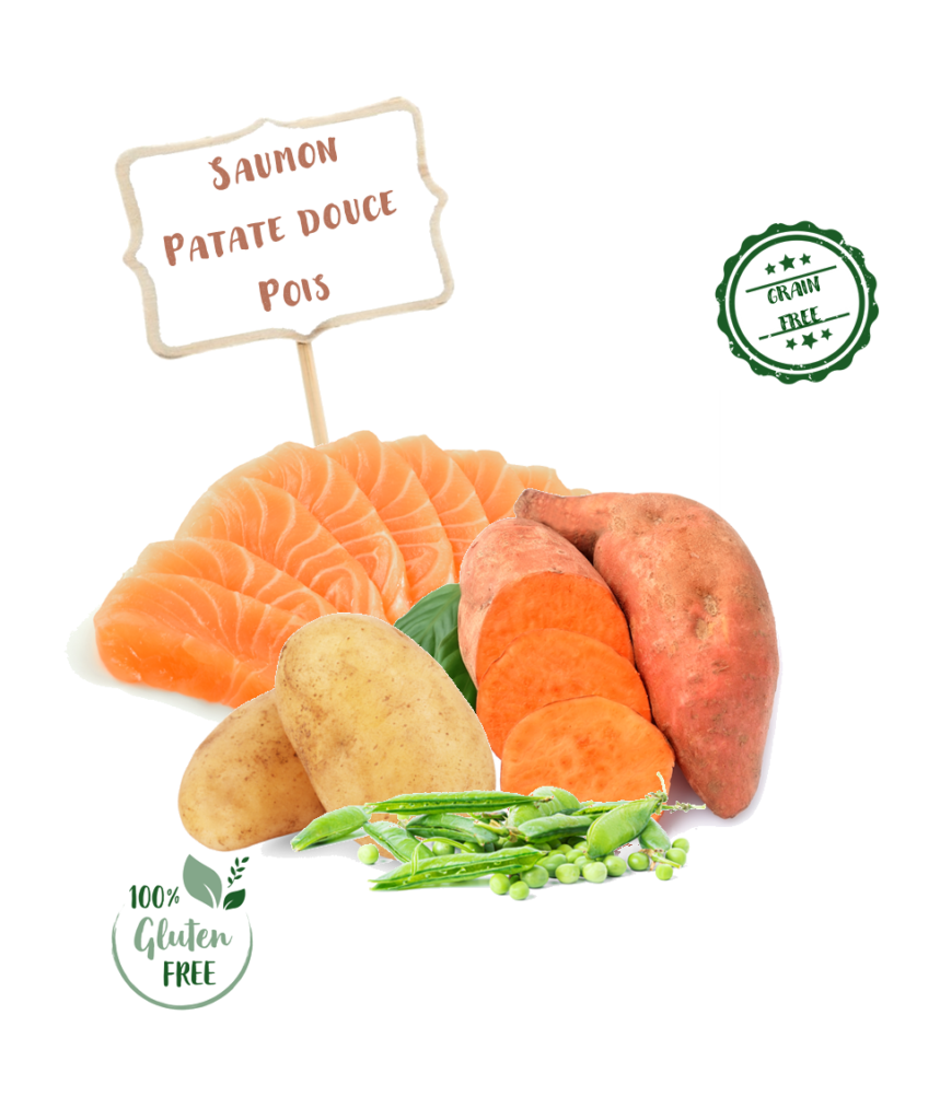 Ingrédients de la croquette Nala saumon pour chiot de grande race