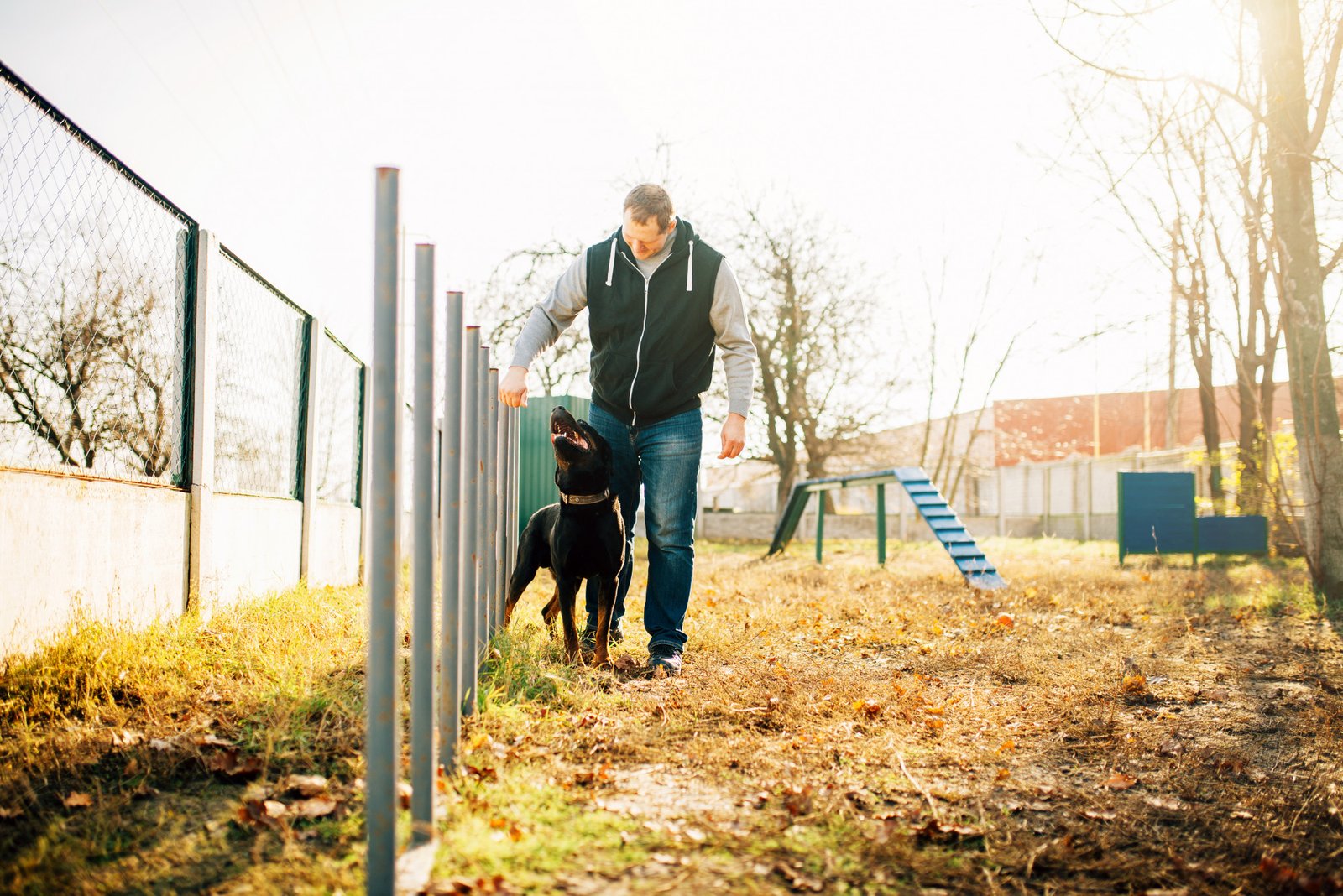 Educateur pour chien