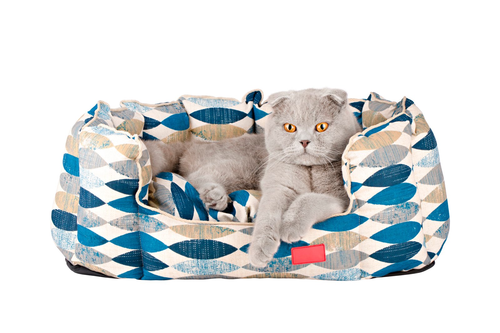 paniers, coussins, lits et couvertures pour chat