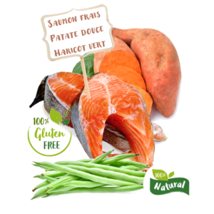 SFI - Ingrédients Croquette Nala recette sans céréales au saumon d'Ecosse pour chien adulte petite race