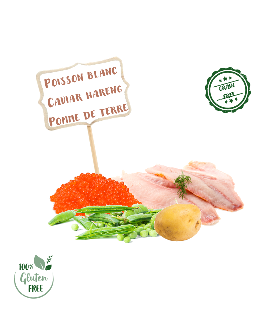 CCW - Ingrédients croquette recette au poisson blanc et caviar de hareng pour chat stérilsé