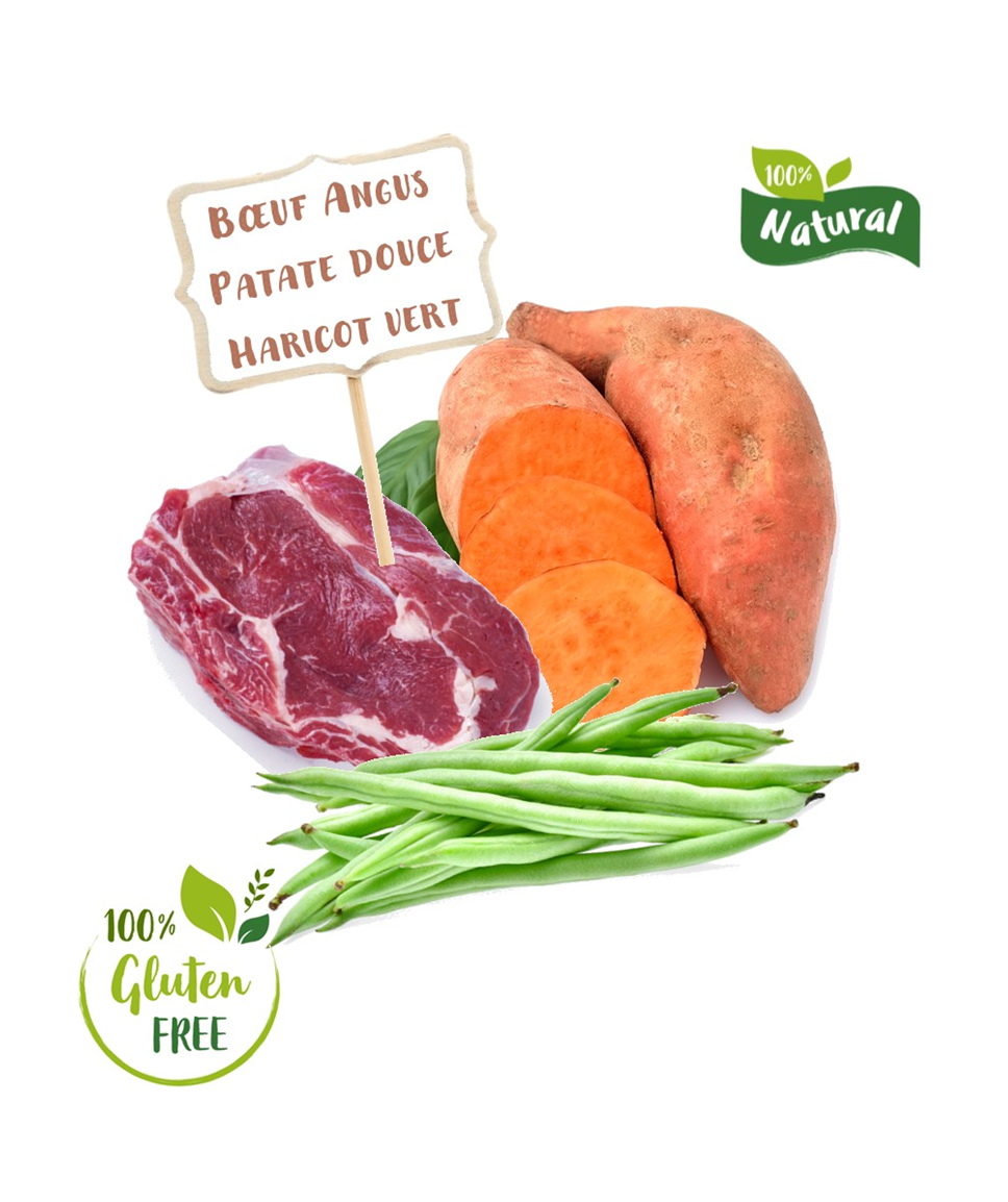 SFR - Ingredients croquette recette sans céréales au boeuf angus pour chiot