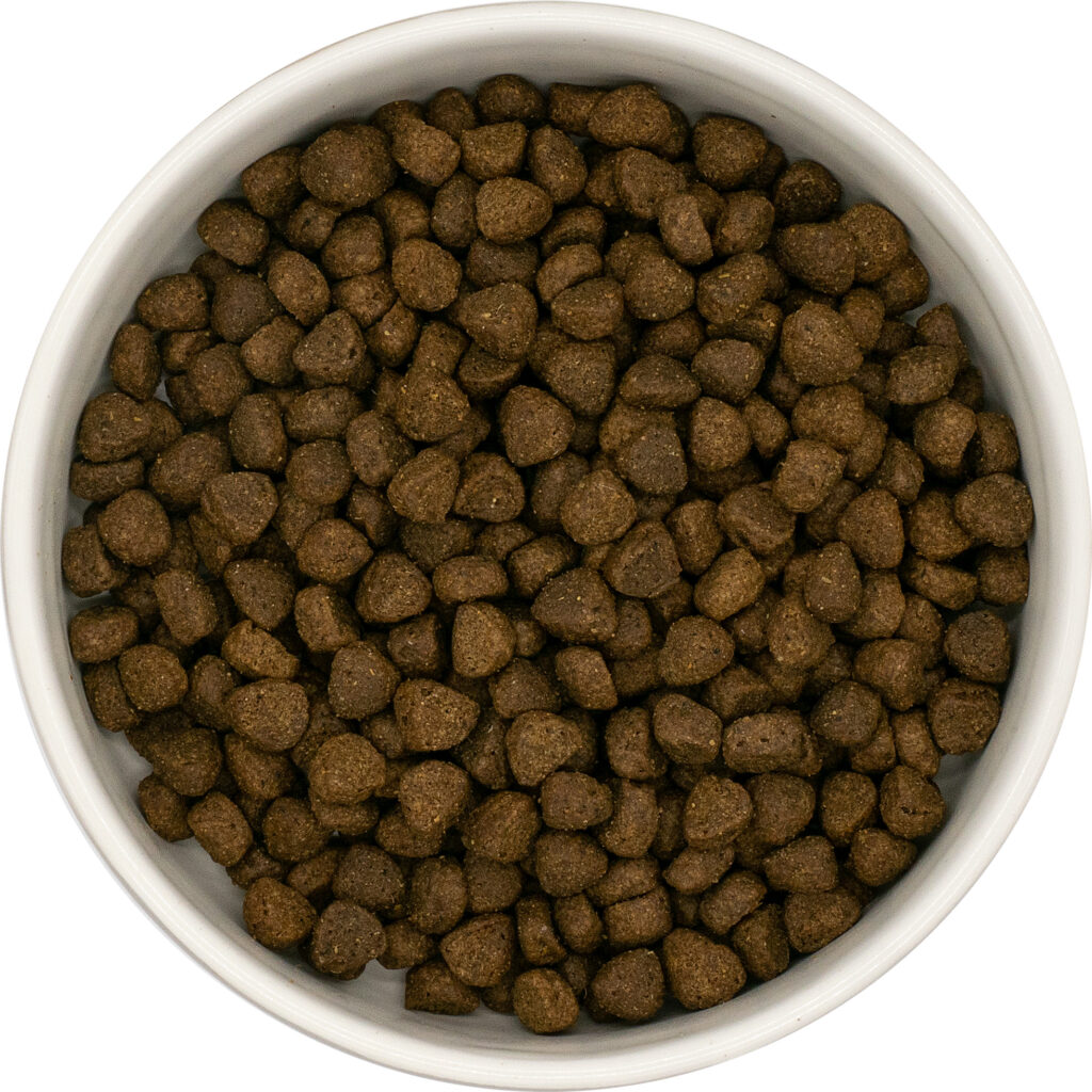 SFR - Visuel croquette recette sans céréales au boeuf angus pour chiot