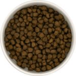 SFR - Visuel croquette recette sans céréales au boeuf angus pour chiot