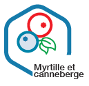 Myrtille