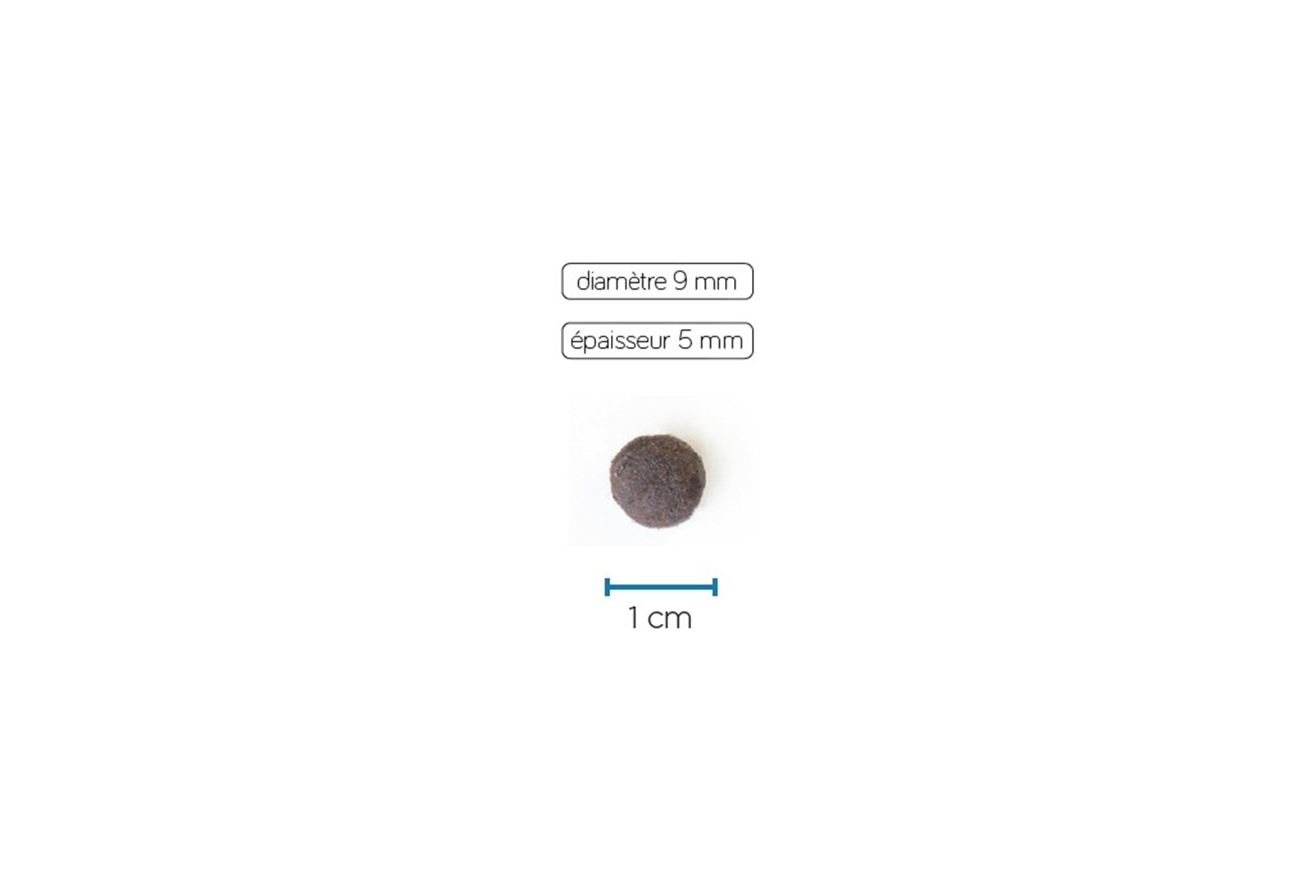 Taille des croquettes
