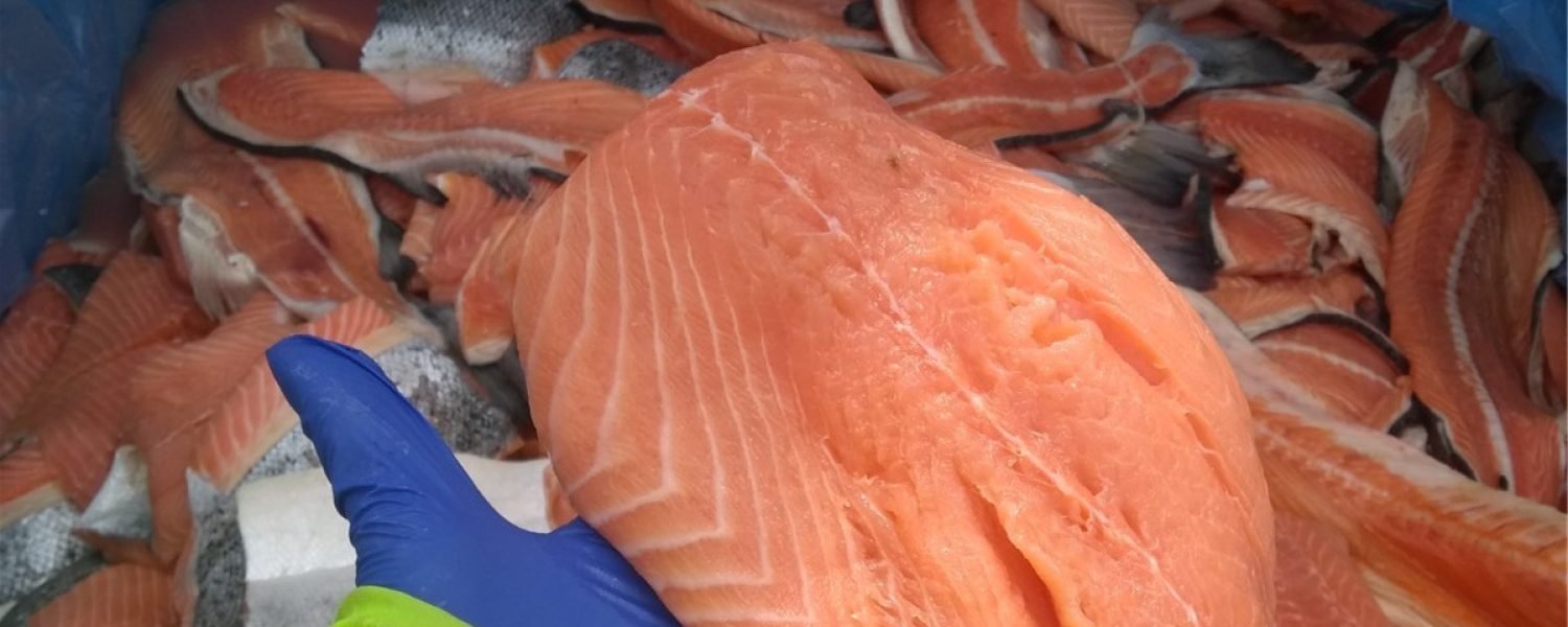 Freshtrusion et ingredients frais