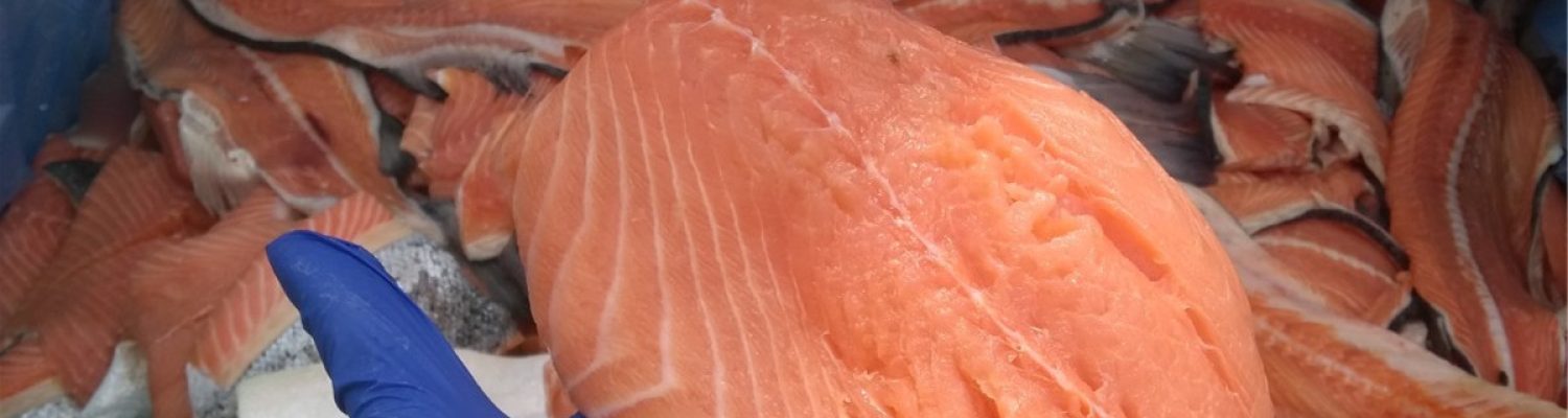Freshtrusion et ingredients frais